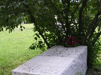 01-51 Léda-Brüll Adél